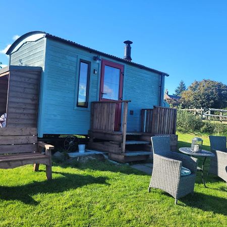 The Shepherds Hut At Forestview Farm Greenisland Екстер'єр фото