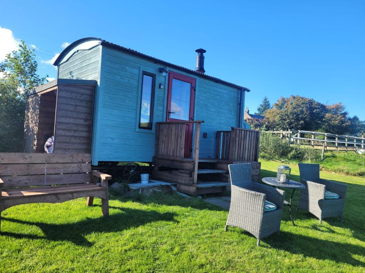 The Shepherds Hut At Forestview Farm Greenisland Екстер'єр фото
